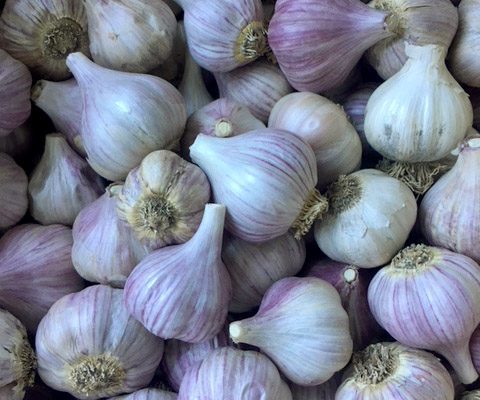 where to buy our produce owl farm braidwood